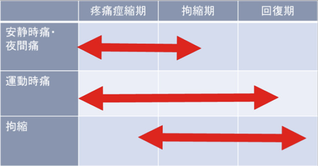 周囲 炎 関節 肩 肩関節周囲炎の特徴・症状と治療法について【医師監修】救急病院一覧あり