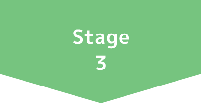 Stage3