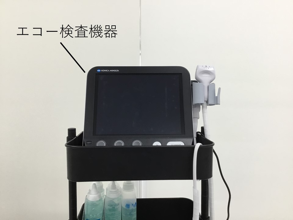 写真8エコーを使用した検査例①