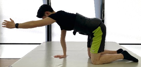 四つ這い上肢挙上