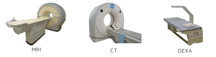 MRI、CT、DEXAの設備画像
